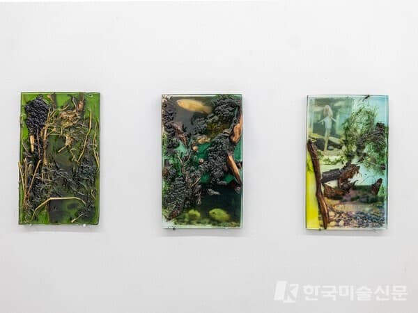 인가희갤러리 제공, 김신욱 사진