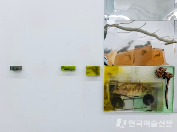 인가희갤러리 제공, 김신욱 사진