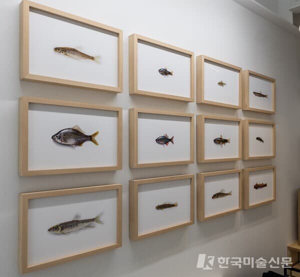 인가희갤러리 제공, 김신욱 사진