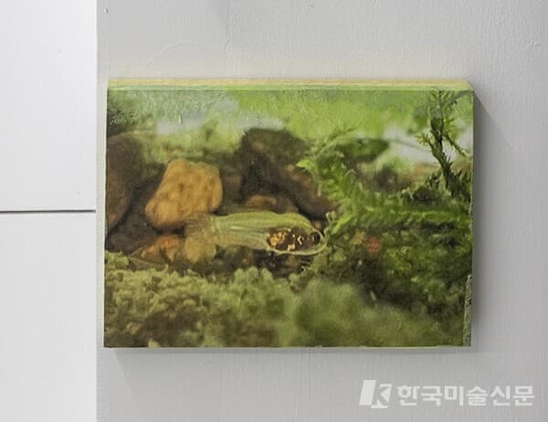 인가희갤러리 제공, 김신욱 사진