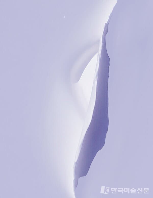 SHH 132 73.0x60.5 Mixed Media on Canvas 2026