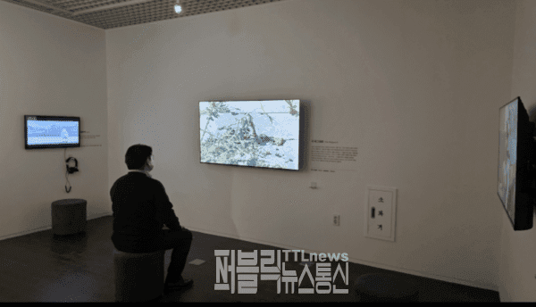 글로벌 아티스트 엘리 허경란 작가의 더 래그워트(사진=충남도)