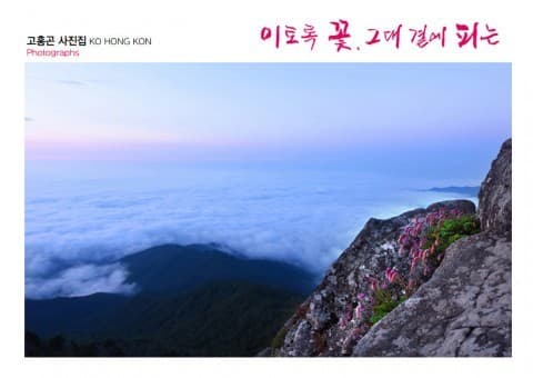 [사진=포토파크미디어 제공]