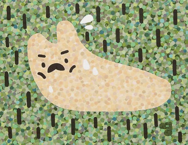 [사진=아크코어 제공]