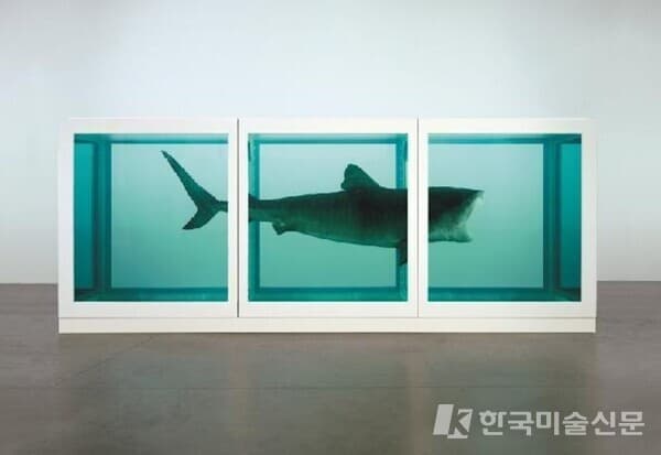 , 1991, Glass, Painted steel, monofilament, shark and formaldehyde solution, 217 X 542 X 180 cm, Private Collection. ⓒ Damien Hirst and Science Ltd. All right reserved, DACS 2026. Photographed by Prudence Cuming Associates /&nbsp;출처. 국립현대미술관 홈페이지