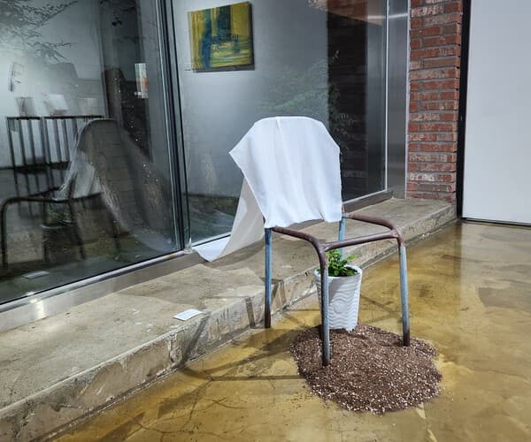 기 억의 레이어 : 골목이 품은 푸른 숨, 가변설치, Rusted iron chair, Gardenia, soil, falbric, installation, 2026